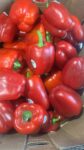 Red Bell Peppers