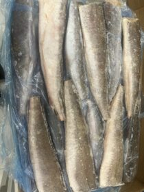 Whiting/Hake Fish