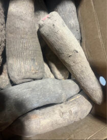 Yam