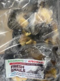 Frozen Snails